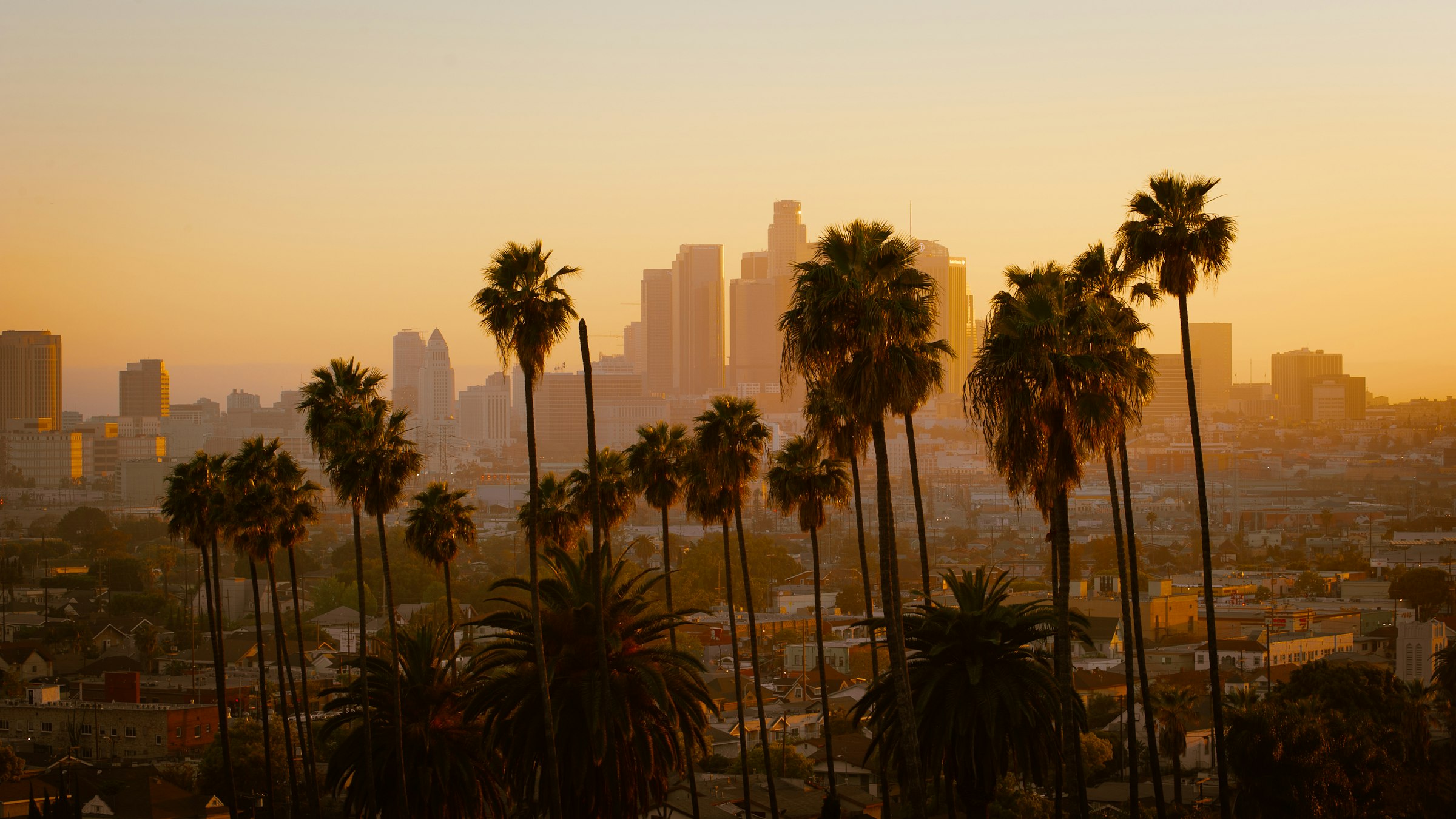 Centro de Los Ángeles al atardecer, entre palmeras